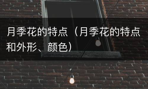 月季花的特点（月季花的特点和外形、颜色）