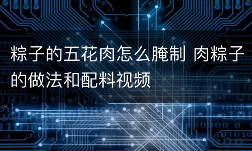 粽子的五花肉怎么腌制 肉粽子的做法和配料视频
