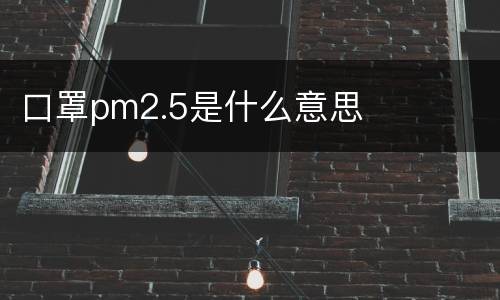 口罩pm2.5是什么意思