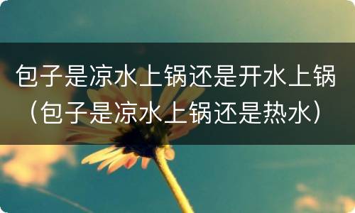 包子是凉水上锅还是开水上锅（包子是凉水上锅还是热水）