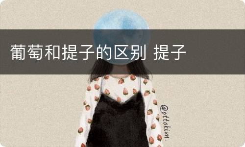 葡萄和提子的区别 提子