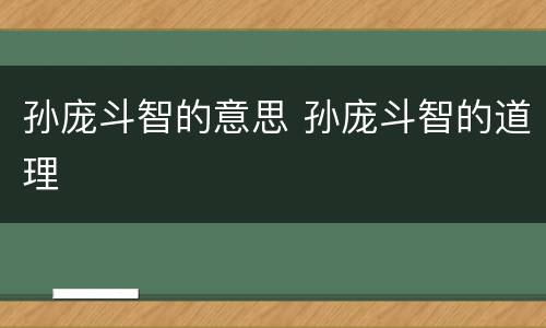 孙庞斗智的意思 孙庞斗智的道理