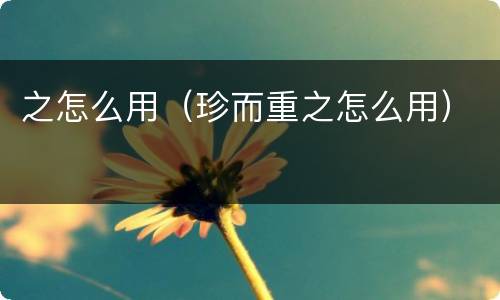 之怎么用（珍而重之怎么用）