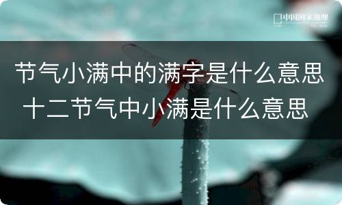 节气小满中的满字是什么意思 十二节气中小满是什么意思