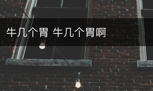 牛几个胃 牛几个胃啊