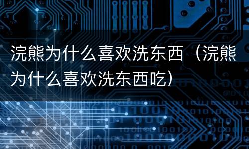 浣熊为什么喜欢洗东西（浣熊为什么喜欢洗东西吃）