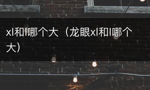 xl和l哪个大（龙眼xl和l哪个大）