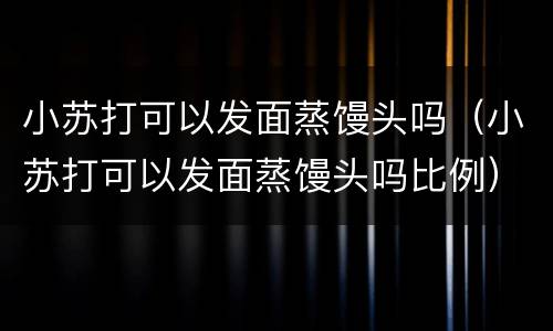 小苏打可以发面蒸馒头吗（小苏打可以发面蒸馒头吗比例）