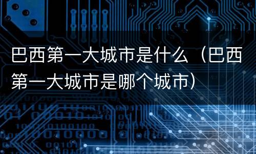 巴西第一大城市是什么（巴西第一大城市是哪个城市）