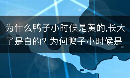 为什么鸭子小时候是黄的,长大了是白的? 为何鸭子小时候是黄的,长大了是白的?