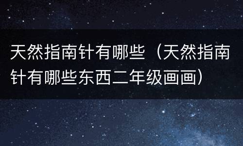 天然指南针有哪些（天然指南针有哪些东西二年级画画）