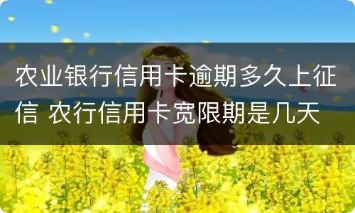 农业银行信用卡逾期多久上征信 农行信用卡宽限期是几天