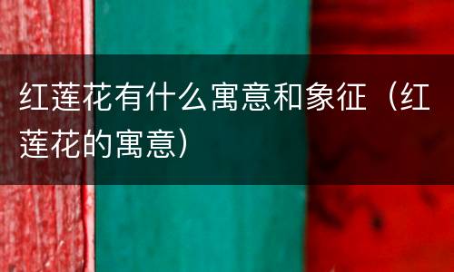 红莲花有什么寓意和象征（红莲花的寓意）