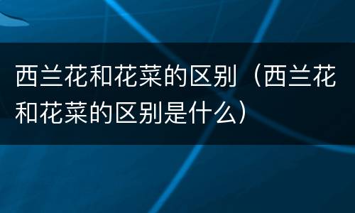 西兰花和花菜的区别（西兰花和花菜的区别是什么）
