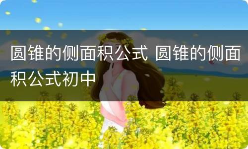 圆锥的侧面积公式 圆锥的侧面积公式初中