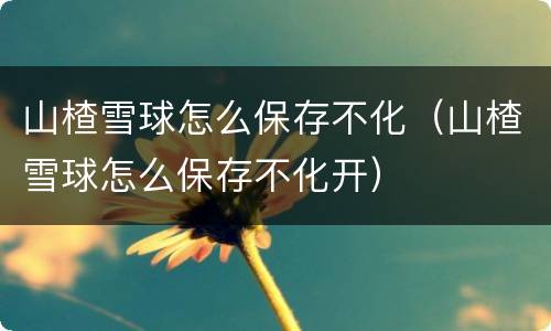 山楂雪球怎么保存不化（山楂雪球怎么保存不化开）