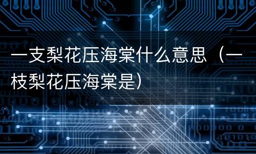 一支梨花压海棠什么意思（一枝梨花压海棠是）