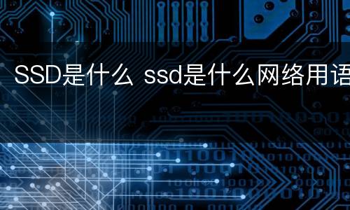 SSD是什么 ssd是什么网络用语
