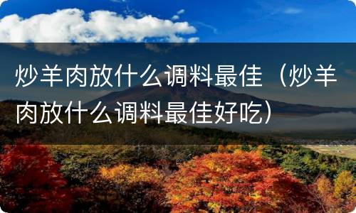 炒羊肉放什么调料最佳（炒羊肉放什么调料最佳好吃）