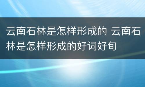 云南石林是怎样形成的 云南石林是怎样形成的好词好旬