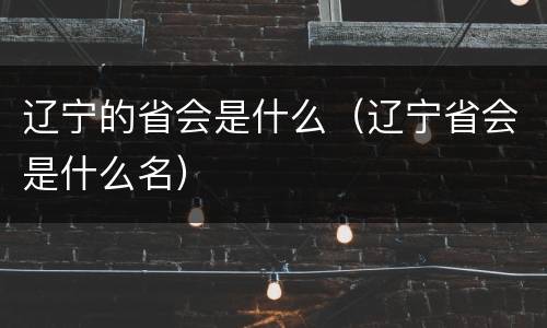 辽宁的省会是什么（辽宁省会是什么名）