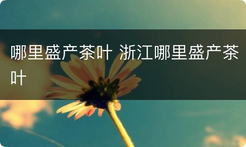 哪里盛产茶叶 浙江哪里盛产茶叶