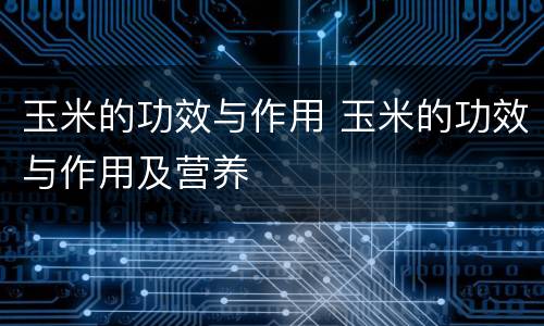 玉米的功效与作用 玉米的功效与作用及营养