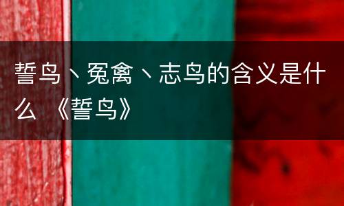 誓鸟丶冤禽丶志鸟的含义是什么 《誓鸟》