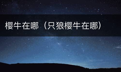 樱牛在哪（只狼樱牛在哪）