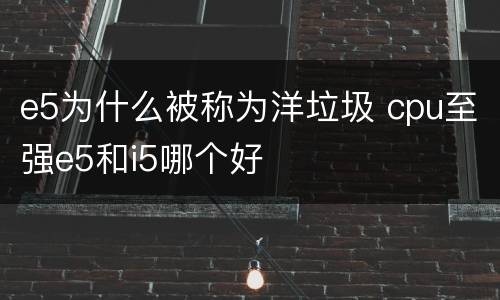 e5为什么被称为洋垃圾 cpu至强e5和i5哪个好