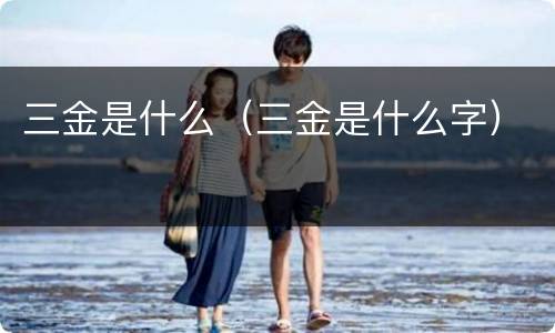 三金是什么（三金是什么字）
