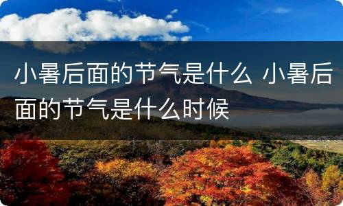小暑后面的节气是什么 小暑后面的节气是什么时候