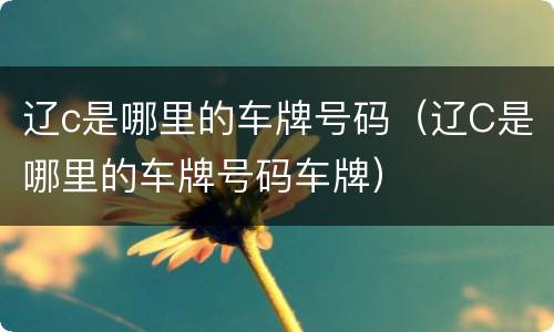 辽c是哪里的车牌号码（辽C是哪里的车牌号码车牌）