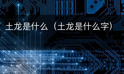 土龙是什么（土龙是什么字）