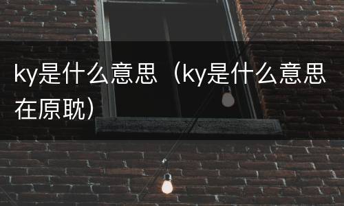 ky是什么意思（ky是什么意思在原耽）