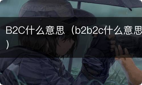 B2C什么意思（b2b2c什么意思）