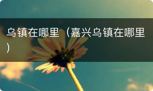 乌镇在哪里（嘉兴乌镇在哪里）