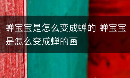 蝉宝宝是怎么变成蝉的 蝉宝宝是怎么变成蝉的画