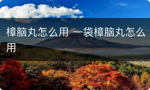 樟脑丸怎么用 一袋樟脑丸怎么用