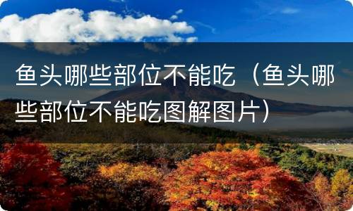 鱼头哪些部位不能吃（鱼头哪些部位不能吃图解图片）