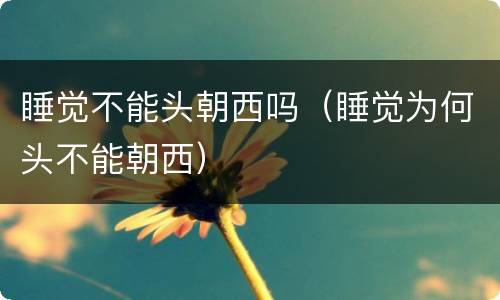 睡觉不能头朝西吗（睡觉为何头不能朝西）