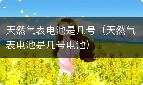 天然气表电池是几号（天然气表电池是几号电池）