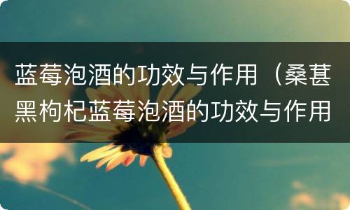 蓝莓泡酒的功效与作用（桑葚黑枸杞蓝莓泡酒的功效与作用）