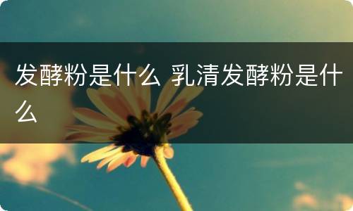 发酵粉是什么 乳清发酵粉是什么