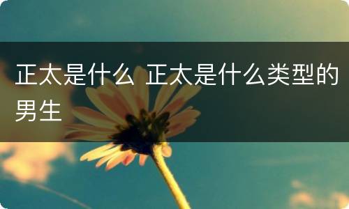 正太是什么 正太是什么类型的男生