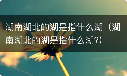 湖南湖北的湖是指什么湖（湖南湖北的湖是指什么湖?）
