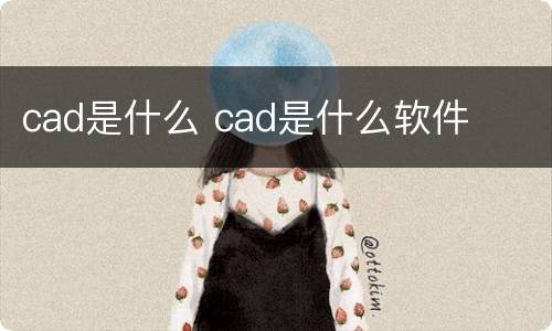 cad是什么 cad是什么软件
