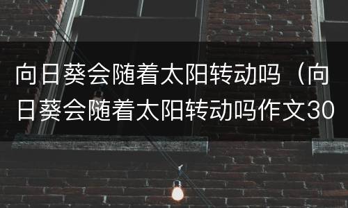 向日葵会随着太阳转动吗（向日葵会随着太阳转动吗作文300字）