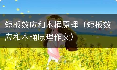 短板效应和木桶原理（短板效应和木桶原理作文）