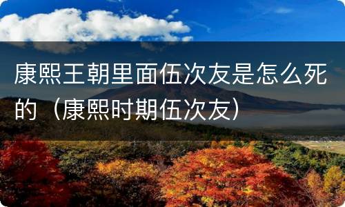 康熙王朝里面伍次友是怎么死的（康熙时期伍次友）